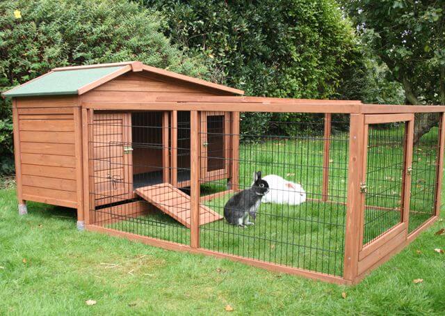 best rabbit enclosures