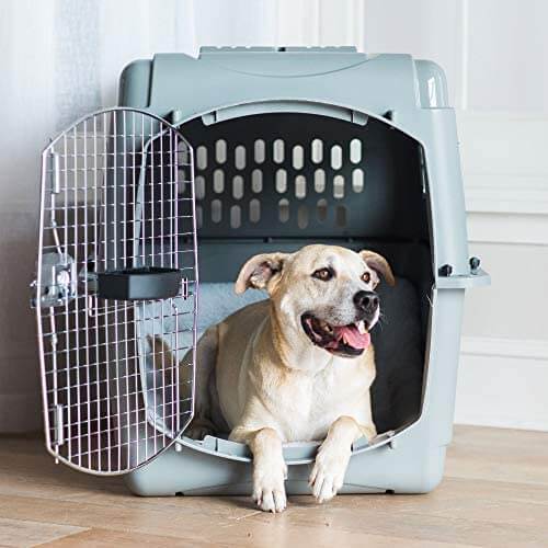 Best Rabbit Carrier Top Choices For 2023