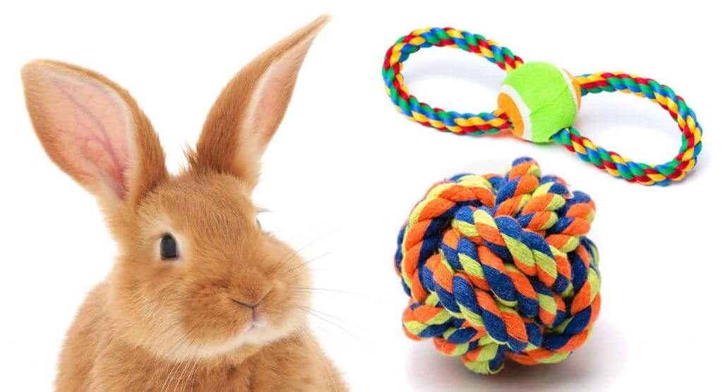 toys for bunnies to play with
