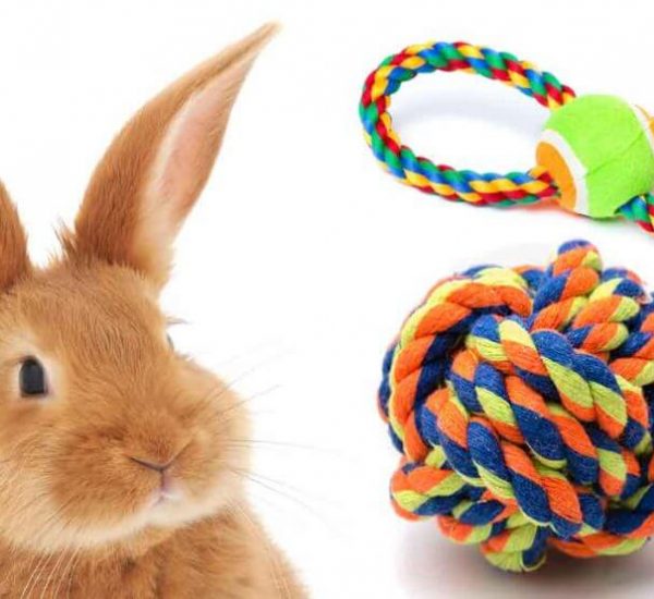 Cooling Pad for Rabbits Pet Cooling Mat