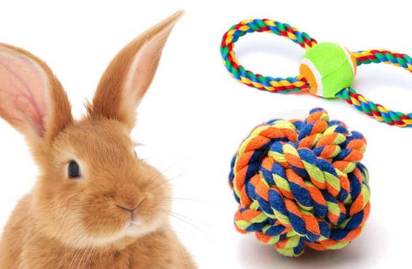 Rabbit Toys