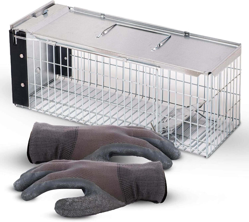 Best Rabbit Trap Top Choices For 2023