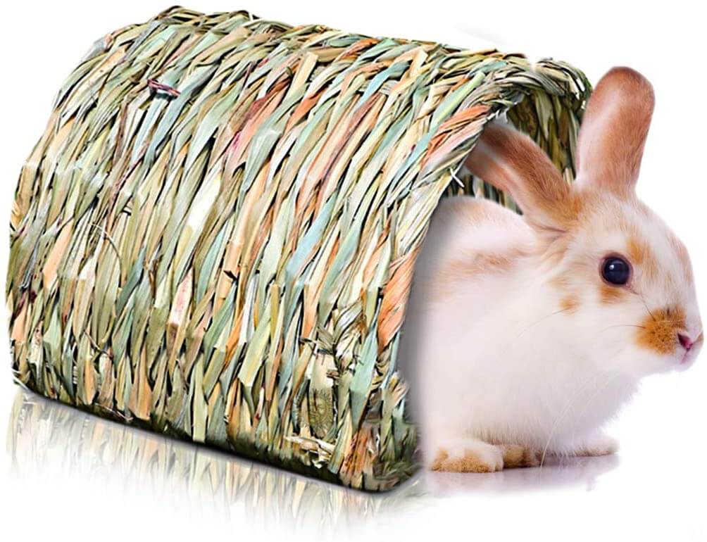 Best Rabbit Hideout Top Choices For 2023