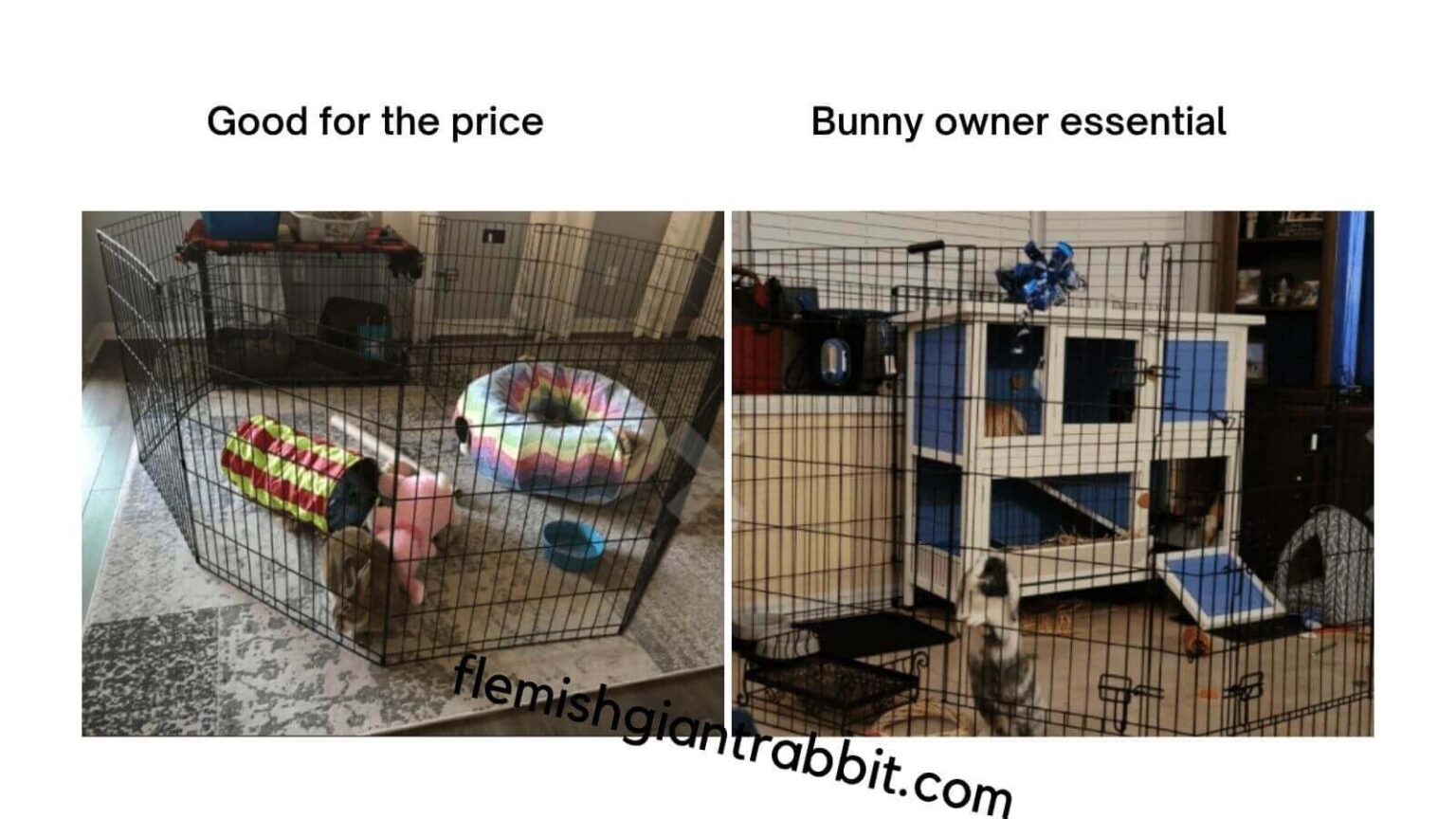 X Pen For Rabbits Best Rabbit Exercise Pens 2023