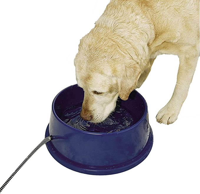 Best Heated Rabbit Water Bottle Top Choices For 2023