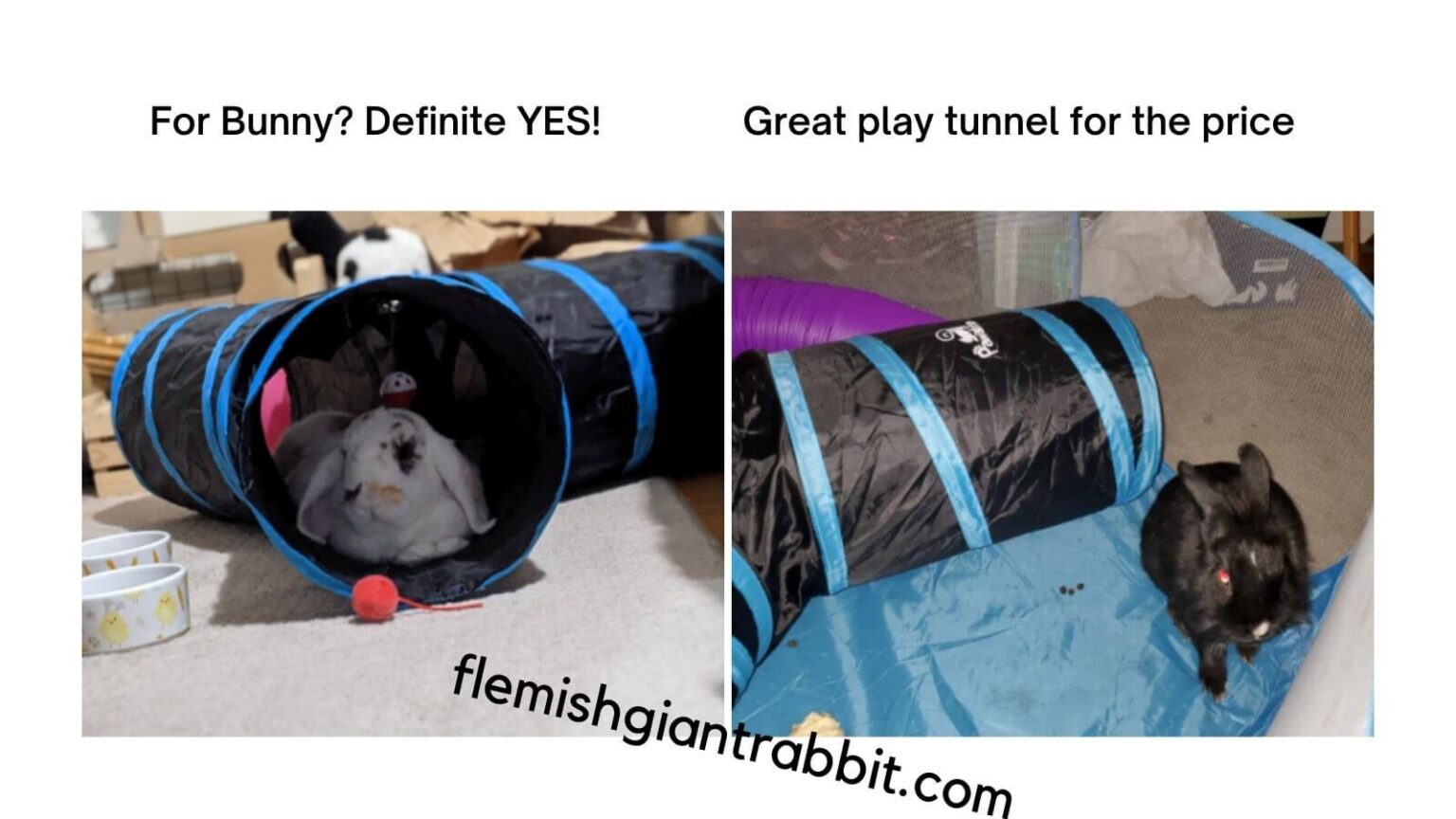 Best Rabbit Tunnel Top Choices For 2023