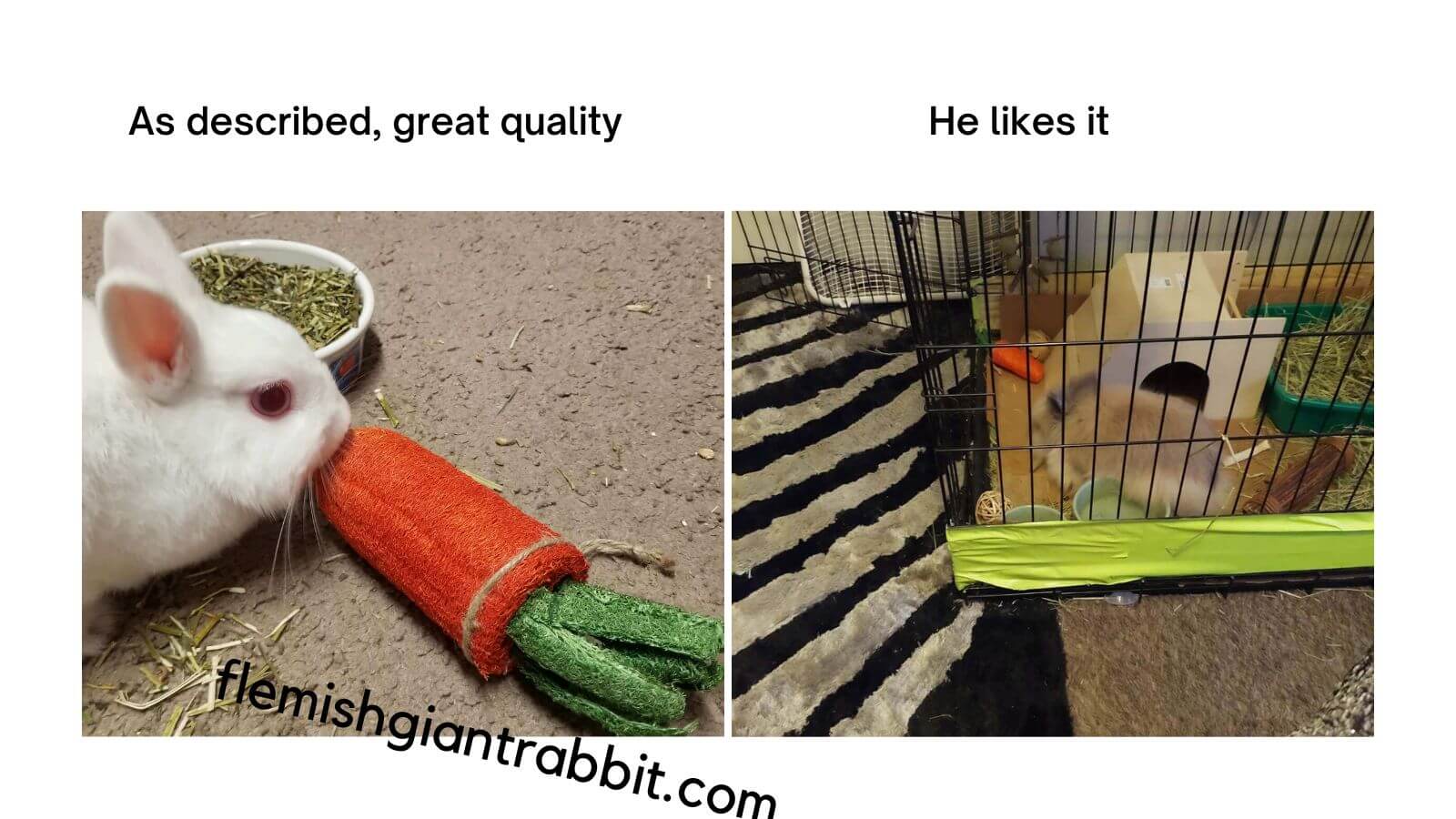 Best Rabbit Chew Toys Of 2023 Reviews & Guide