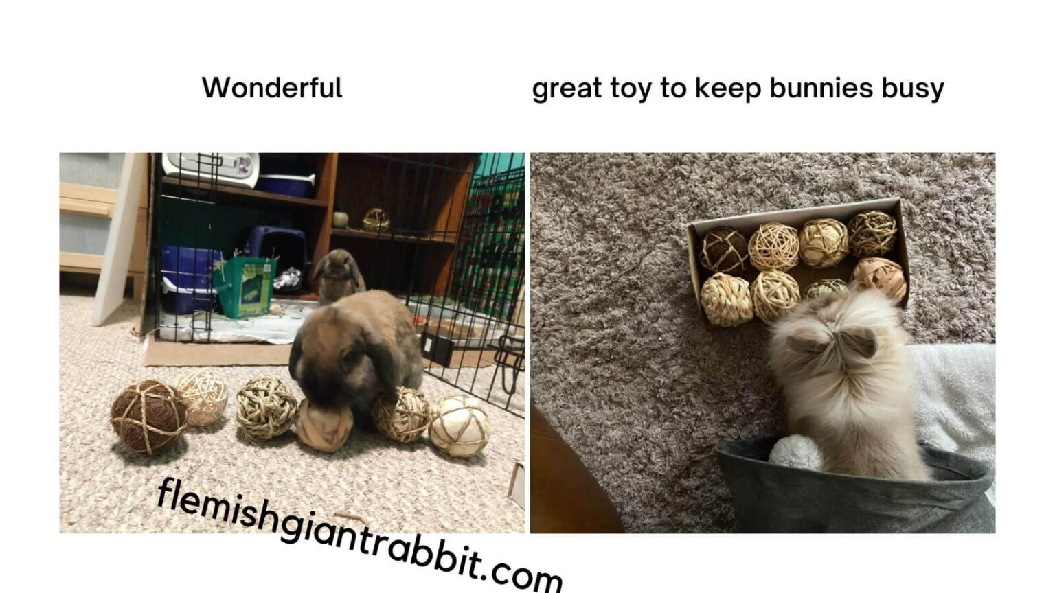 Best Rabbit Chew Toys Of 2023 Reviews & Guide