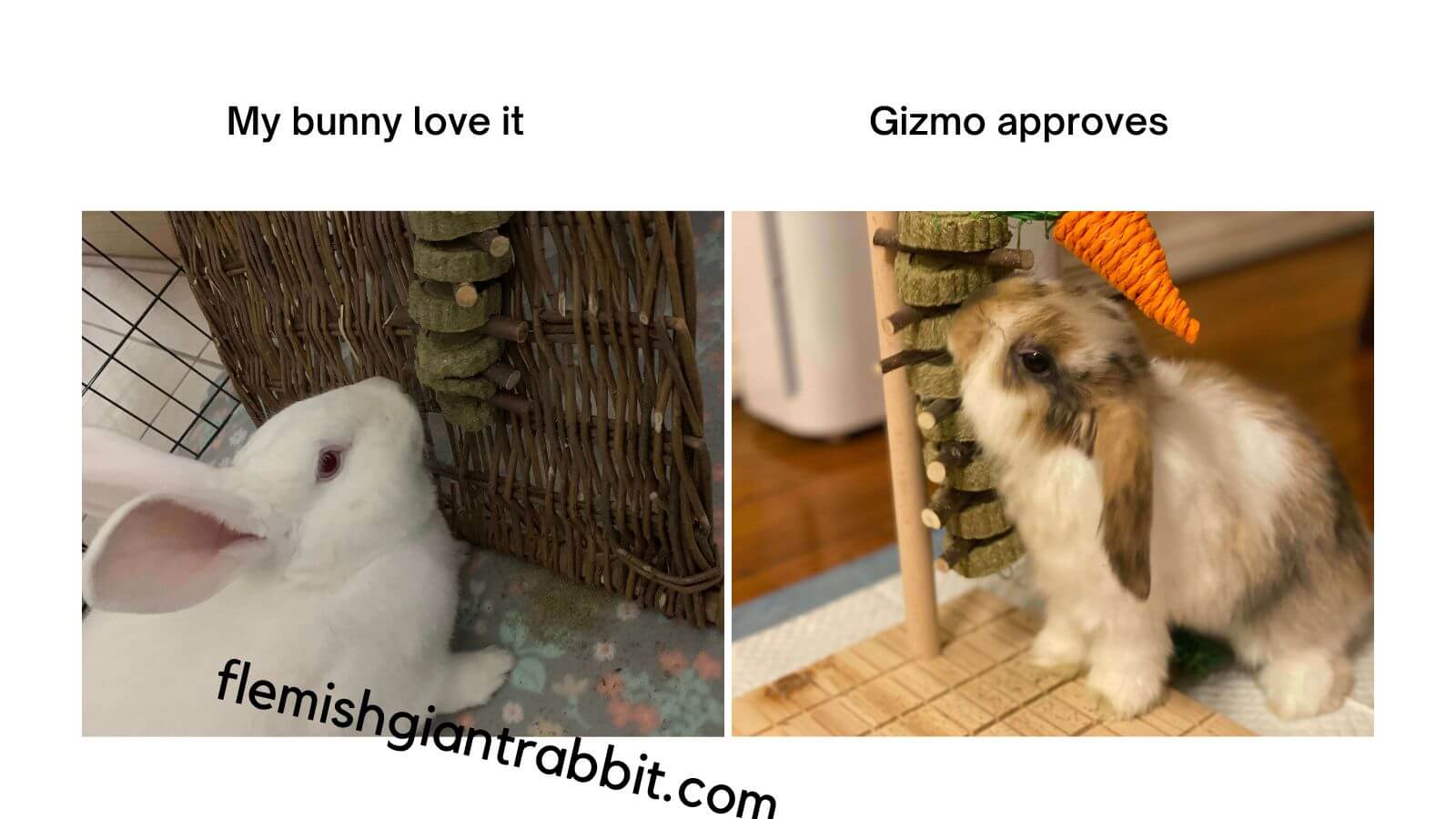 Best Rabbit Chew Toys Of 2023 Reviews & Guide