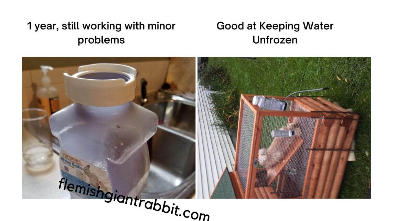 Best Heated Rabbit Water Bottle Top Choices For 2023