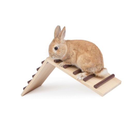 Niteangel-Rabbit-Castle