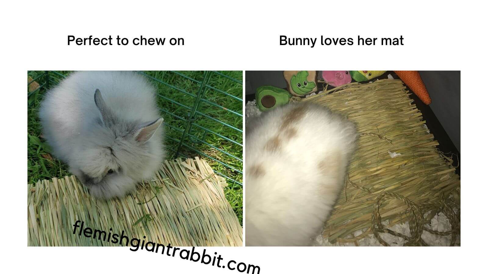 Top 9 Grass Mats for Rabbits Reviews & Top Picks