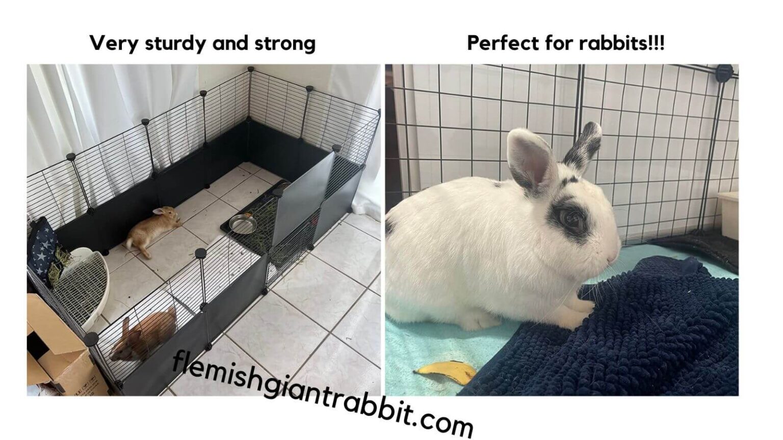 Best Rabbit Wire Cage Top Choices For 2023