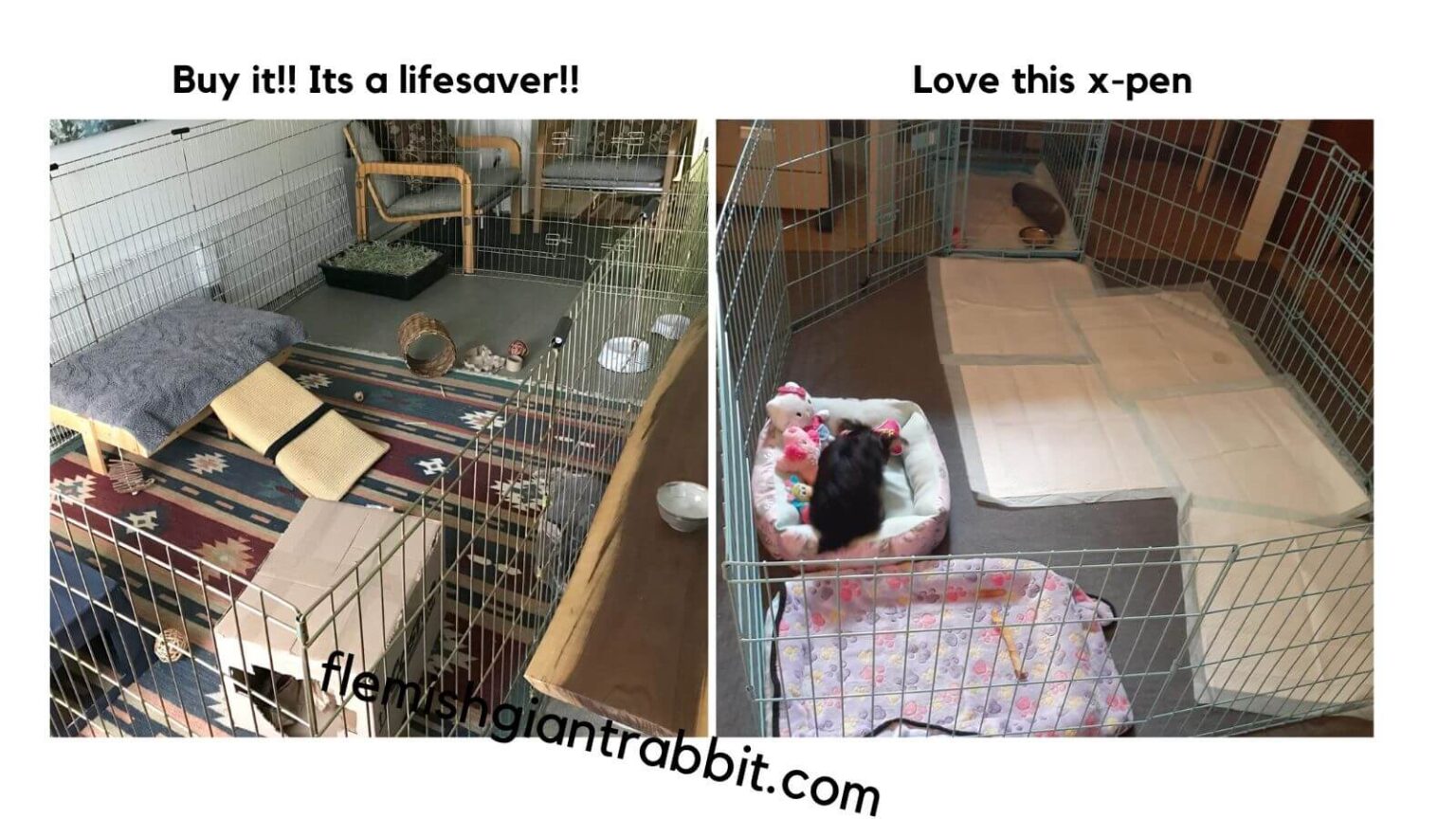 Best Rabbit Wire Cage Top Choices For 2023