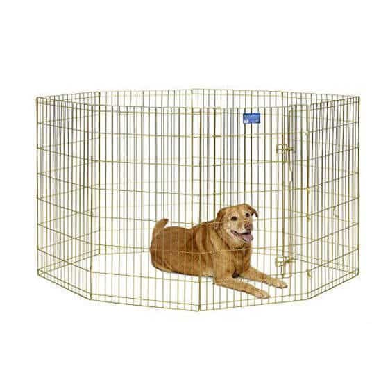 Best Rabbit Wire Cage Top Choices For 2023