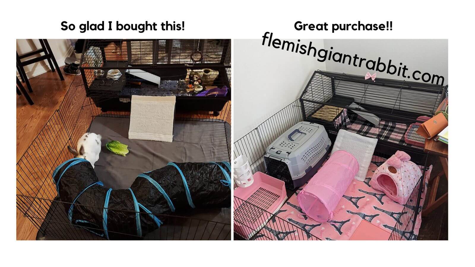 Best Rabbit Wire Cage Top Choices For 2023